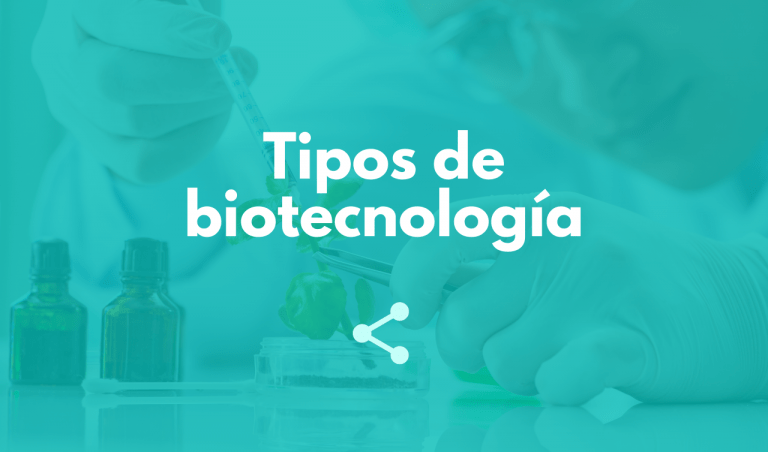 Tipos de biotecnología