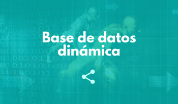 Base de datos dinámica