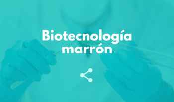 Biotecnología marrón