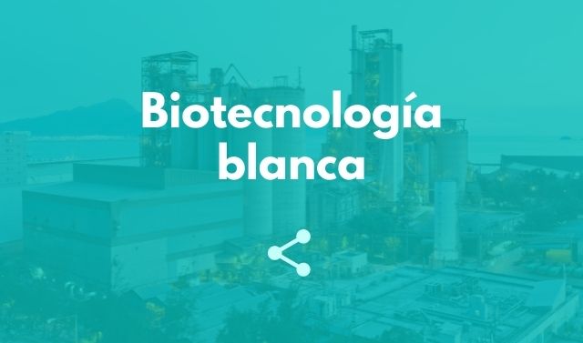 Biotecnología blanca