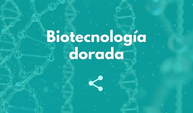 Biotecnología dorada