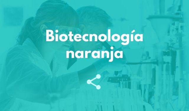 Biotecnología naranja