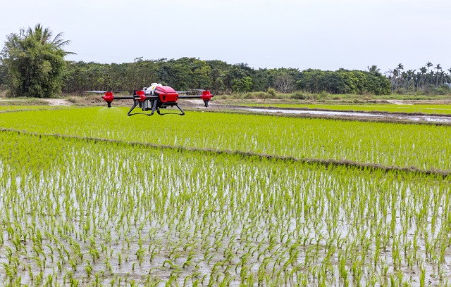 Innovación agrícola