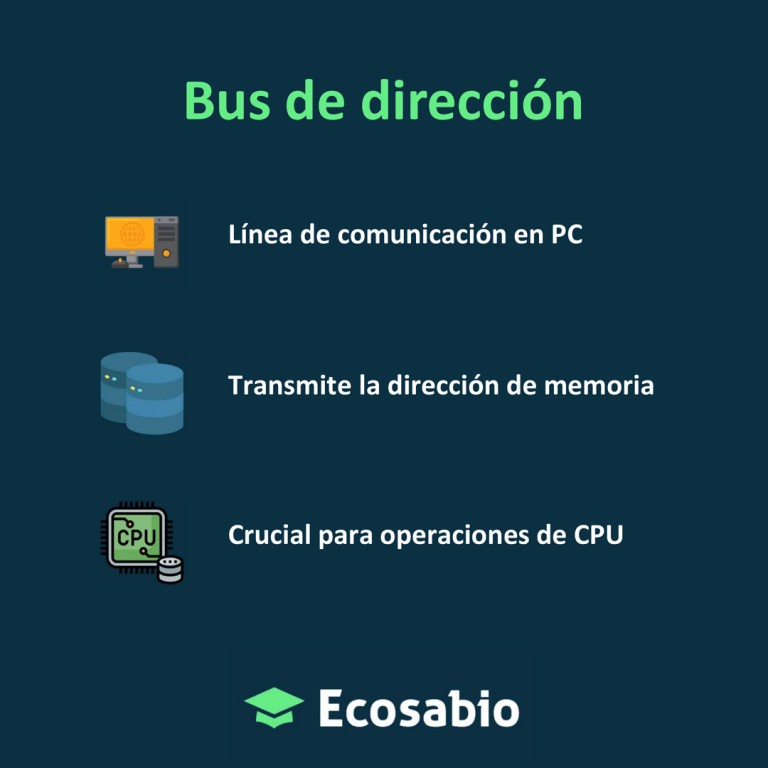 Bus de dirección