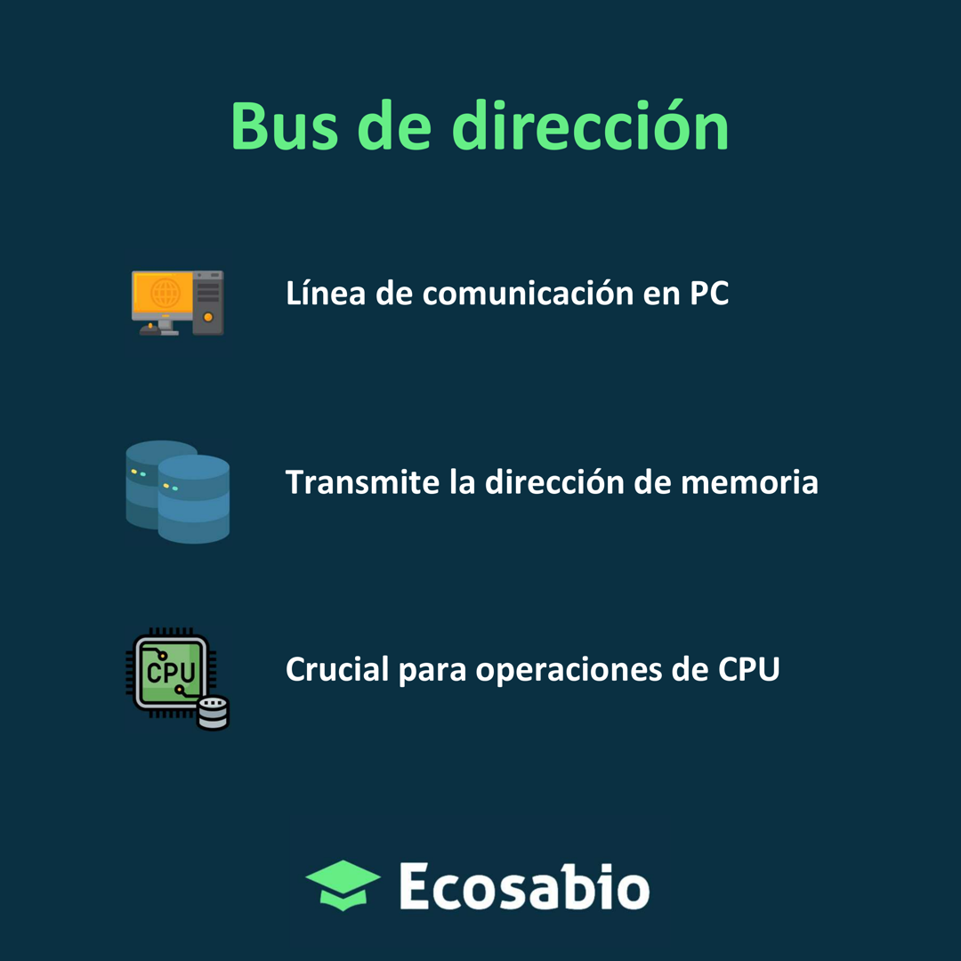 Bus de direccion